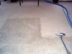 business carpet cleaners derby